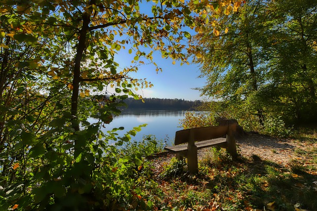 “我们知道我们可以依靠他”：坎特与法国队，永不落幕的故事